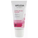 Веледа Розовый подтягивающий дневной крем (Weleda) 30 ml