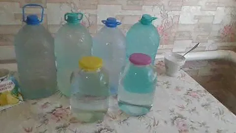 Как сохранить Берёзовый СОК