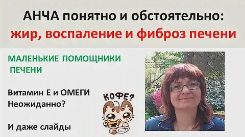 ПЕЧЕНЬ: маленькие помощники